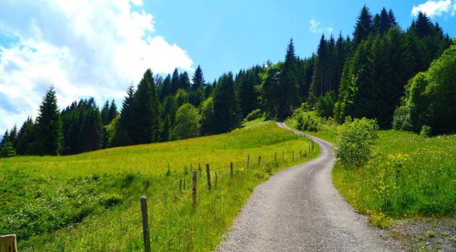 Weg oberhalb Hüttenberg © Tourismus Hörnerdörfer, M. Redecker