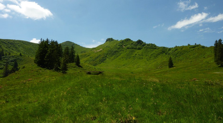 Gipfel des Riedberger Horns © Tourismus Hörnerdörfer, MA