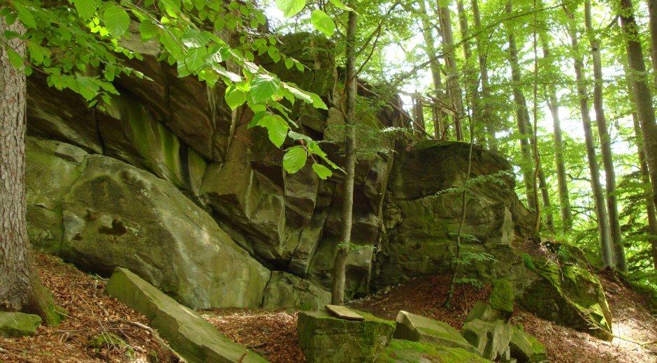 Moosbewachsene Felsen auf dem Weg zum Hinanger Wasserfall