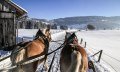 Schlittenfahrt im Emmereiser Moos © Christian Bischoff