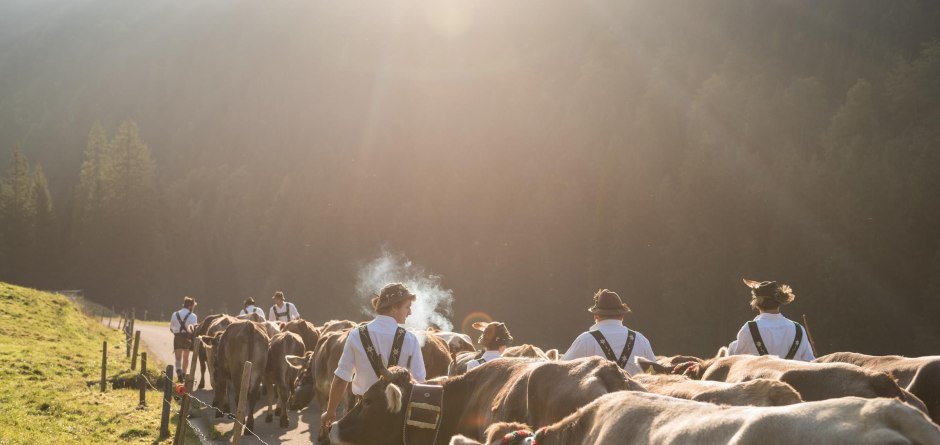 Viehzug in Richtung Tal © Tourismus Hörnerdörfer