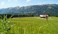 Blick auf Geissrücken Alpe und Nagelfluhkette © Tourismus Hörnerdörfer, M. Redecker