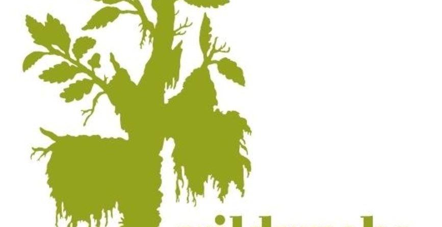 Ausstellung Wildwuchs