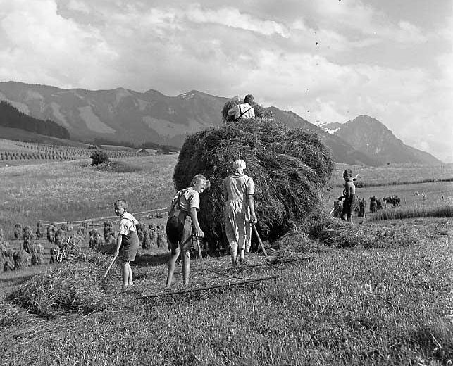 Heuernte mit der ganzen Familie 1939 © Lala Aufsberg, Archiv Heimatbund Allgäu e.V.