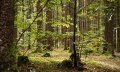 Meditative Naturwanderung © Tourismus Hörnerdörfer, F. Kjer