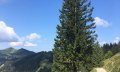 Blick zum Berghaus Schwaben