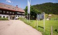 Almhof Ferienwohnungen in Balderschwang © Tourismus Hörnerdörfer