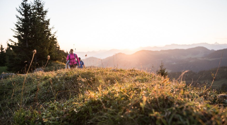 Auf unserer Route haben wir die Gelegenheit, die Natur des Allgäus zu erleben. © Tourismus Hörnerdörfer, F. Kjer