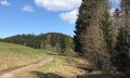 Wiesenweg © Tourismus Hörnerdörfer, L. Renn