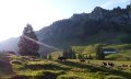 Tiere auf der Weide - Alpe Schönberg © Tourismus Hörnerdörfer, Eberle T.