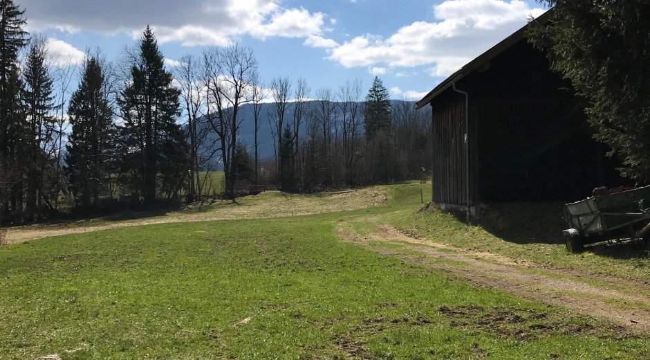 Über Wiesenwege führt der Weg zurück nach Bolsterlang © Tourismus Hörnerdörfer, L. Renn