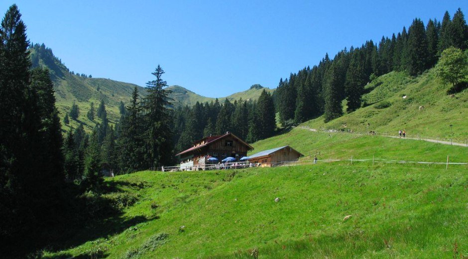 Alpe Bolgen © Tourismus Hörnerdörfer, L. Renn