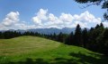 Über Wald- und Wiesenwege führt der Weg bis nach Kierwang © Tourismus Hörnerdörfer GmbH