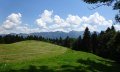 Über Wald- und Wiesenwege führt der Weg bis nach Kierwang © Tourismus Hörnerdörfer GmbH