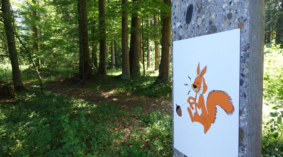 Eichhörnchenwald - Fischen i. Allgäu © Tourismus Hörnerdörfer GmbH