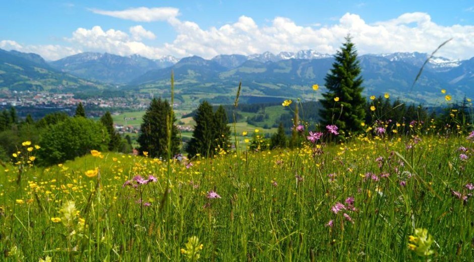 Blumen- und Käuterwiesen oberhalb Hüttenberg mit traumhafter Aussicht © Tourismus Hörnerdörfer GmbH