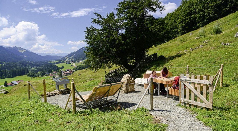 2000-jährige Eibe in Balderschwang 2,000 year old © Tourismus Hörnerdörfer GmbH