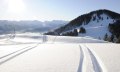 Skigebiet Ofterschwang-Gunzersied - frische Spuren © Tourismus Hörnerdörfer, G. Standl