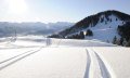 Skigebiet Ofterschwang-Gunzersied - frische Spuren © Tourismus Hörnerdörfer, G. Standl