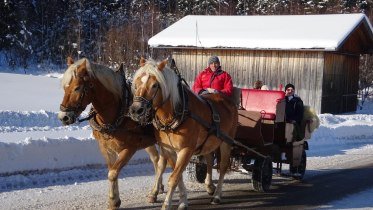 Pferdekutschfahrt rund um Bolsterlang © Tourismus Hörnerdörfer Pferdekutschfahrt rund um Bolsterlang © Tourismus Hörnerdörfer
