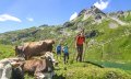 Bergwanderer unterwegs in den Allgäuer Bergen laufen vorbei an Kühen © Alexander Rochau