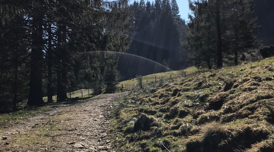 Ein gut präparierter Weg führ zum Sonderdorfer Kreuz