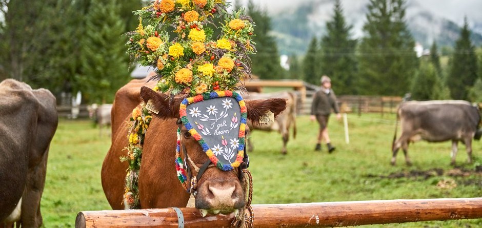 Meurers_Herbst_2017_0533 © Meurer