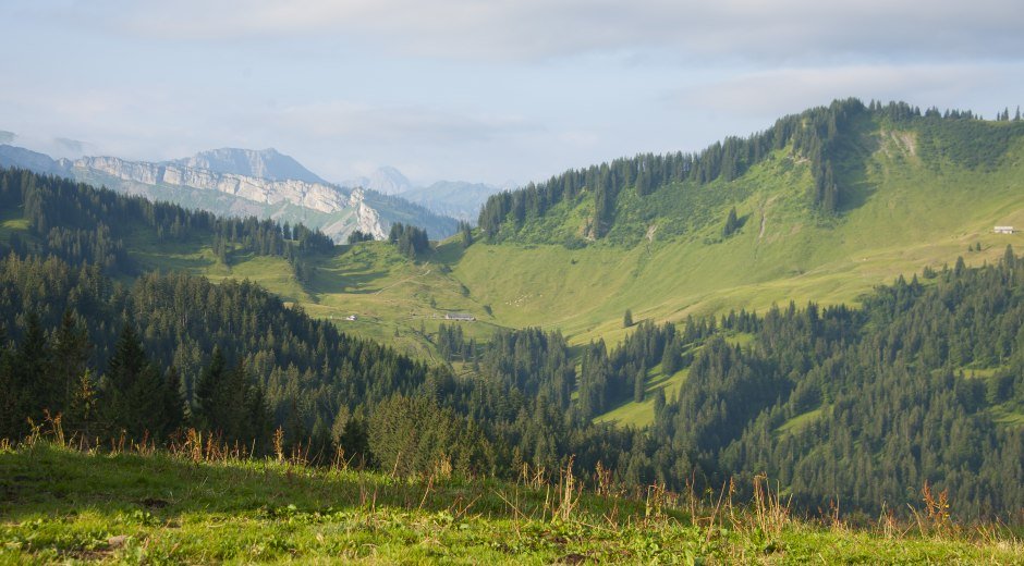 Am Gelbhansekopf in Balderschwang © Tourismus Hörnerdörfer, G. Eichholzer