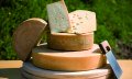 Käse