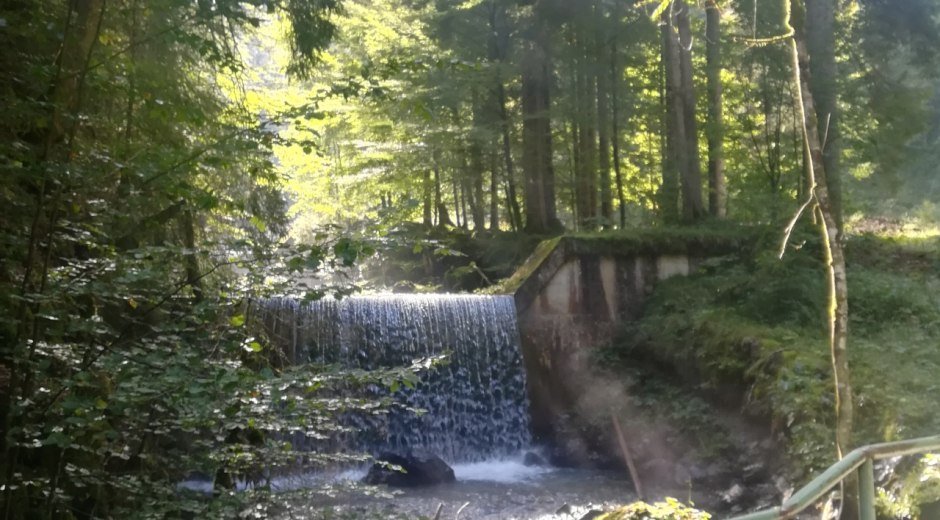 Entlang des Tobelweges © Tourismus Hörnerdörfer GmbH