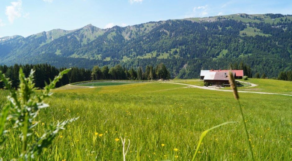 Blick auf Geissrücken Alpe und Nagelfluhkette © Tourismus Hörnerdörfer, M. Redecker