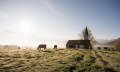 Hörnerdörfer-Idyll an der Bolsterlanger Kapelle © Tourismus Hörnerdörfer, F. Kjer