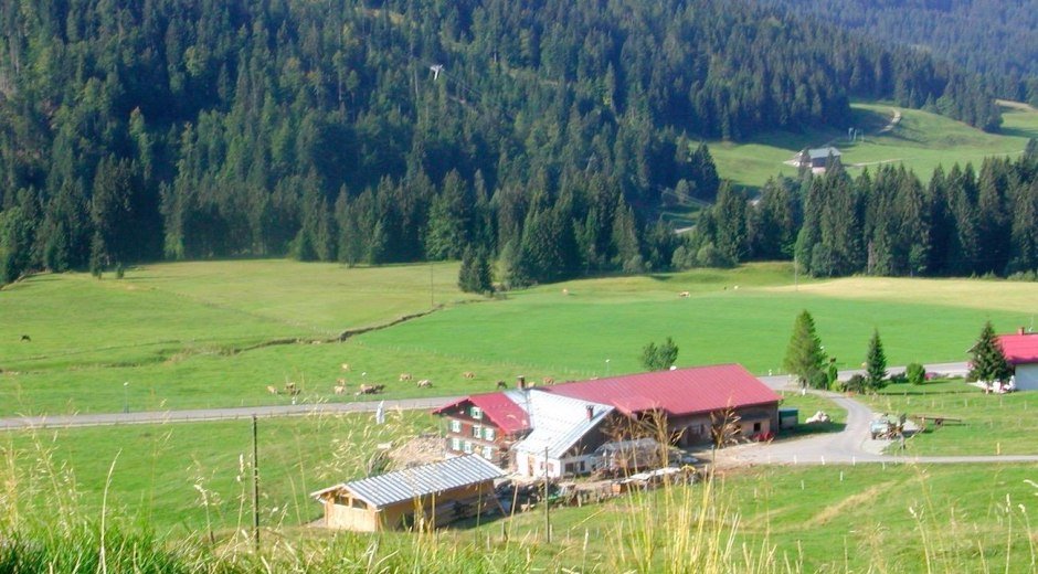 Alpe Unterbalderschwang © Tourismus Hörnerdörfer