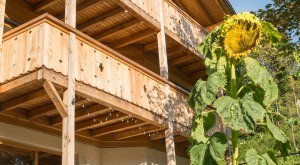Ferienhaus Sorgenfrei Sommer © _changed => 05.02.2020 um 08:55 Uhr