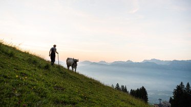 Die Wanderung führt vorbei an Alpweiden © Tourismus Hörnerdörfer - F. Kjer