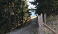 Ein gut präparierter Weg führt zum Sonderdorfer Kreuz © Tourismus Hörnerdörfer, L. Renn