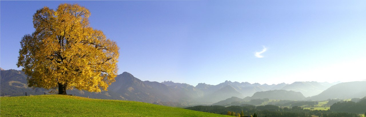 Ofterschwang - Wittelsbacher Höhe © Tourismus Hoernerdoerfer GmbH, Siegfried Bruckmeier