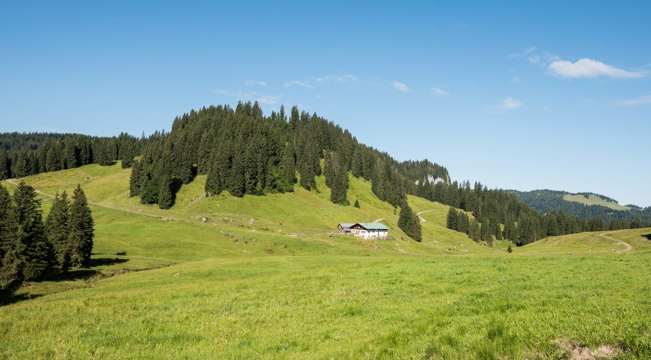 Alpe Dinjoergen bei Obermaiselstein © Tourismus Hörnerdörfer, F. Kjer