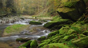 im Naturpark Nagelfluhkette © Naturpark Nagelfluhkette