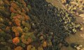 Bild24_Wald von oben_Konrad Zettler © Naturpark Nagelfluhkette