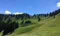 Hörner Panorama Tour - Rundwanderung ab Bolsterlang oder Ofterschwang © Tourismus Hörnerdörfer GmbH