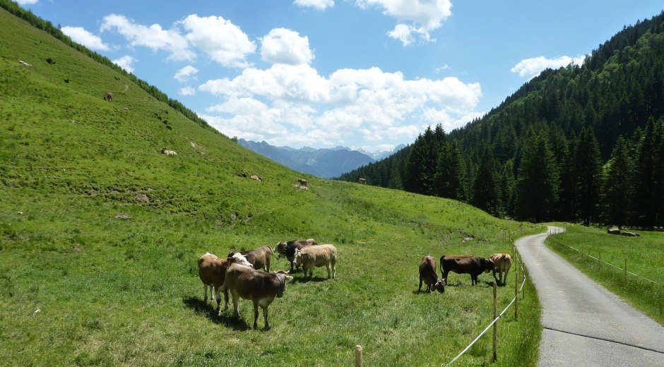 Die Alpe Zunkleiten im Bolgental bei Bolsterlang © Tourismus Hörnerdörfer