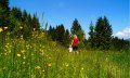 Gut geeignet für Familien © Tourismus Hörnerdörfer, M. Redecker