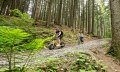 Downhill Roller in Ofterschwang im Allgäu © Tourismus Hörnerdörfer, ProVisionMedia