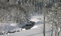 Winterwandern am Bolgenachweg