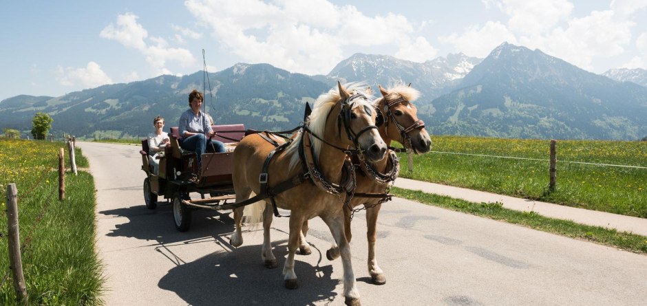Genießen Sie eine angenehme Kutschfahrt mit Fra...