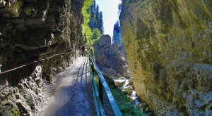 n12b63263 © BREITACHKAMMVEREIN eG