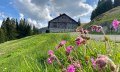 Rundweg ums Ofterschwanger Horn © Tourismus Hörnerdörfer, M. Redecker