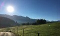 Ausblick Allgäuer Alpen © Tourismus Hörnerdörfer GmbH