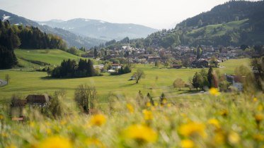 Wildkräuter-Spaziergang © Oberstaufen Tourismus / Nico Bogenreuther